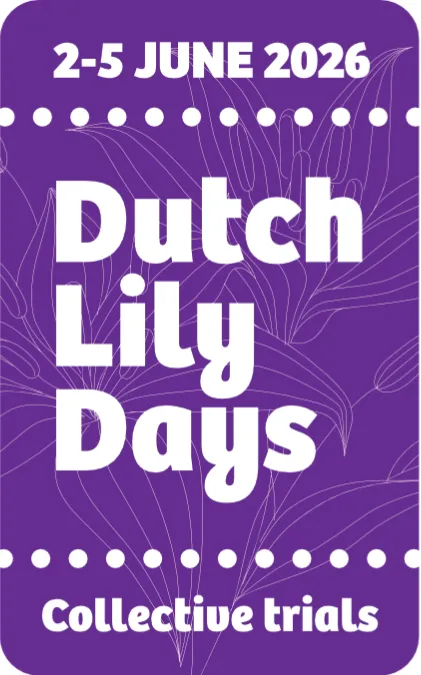 Zabo Plant prepares for Dutch Lily Days 2026